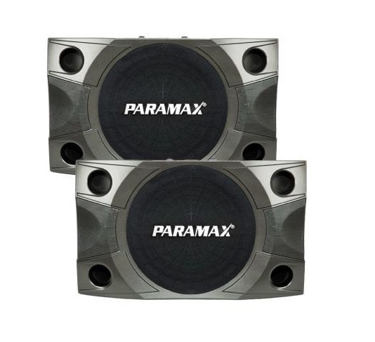 Loa karaoke Paramax P900